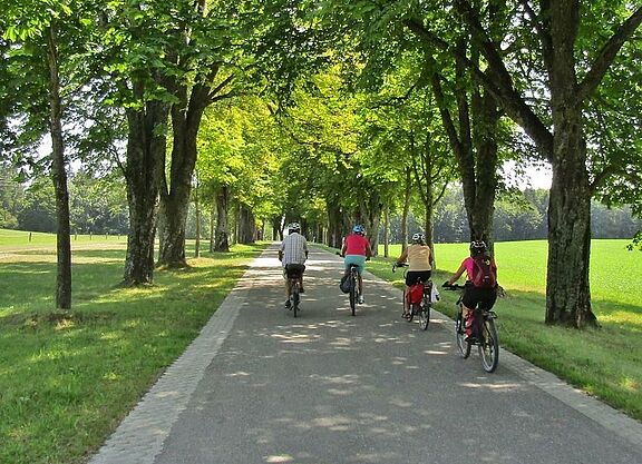 Radfahrer:innen auf einem Radweg