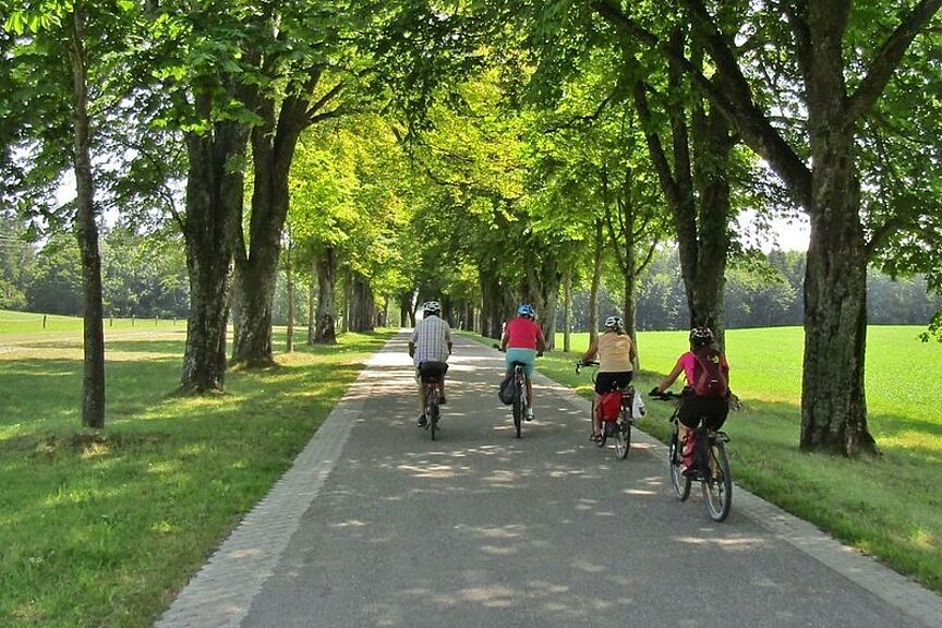 Symbolbild Radtour Radfahrer:innen auf einem Radweg