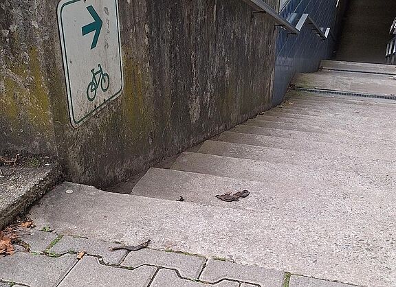 Touristischer Radweg wird über Treppe geleitet - Limburg: Frankfurter Str. / Höhe Parkplatz Tal Josaphat